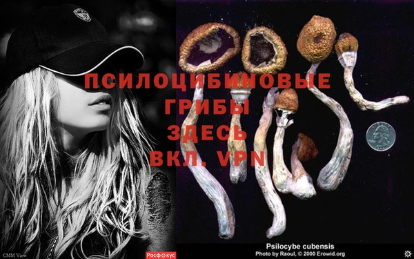тгк Баксан