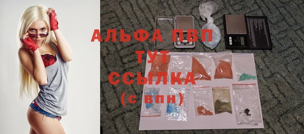 тгк Баксан