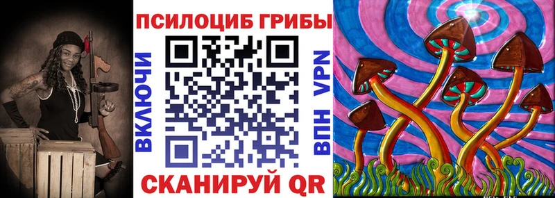 Галлюциногенные грибы MAGIC MUSHROOMS  Гдов 